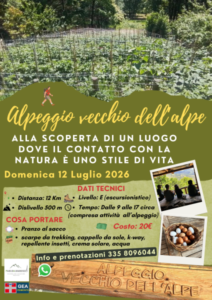 Alpeggio vecchio dellalpe