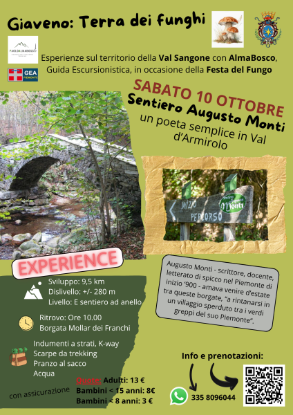Fungo26Monti_Sa