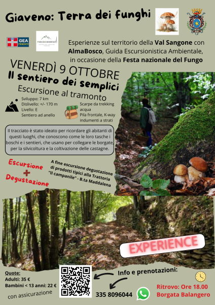 Fungo26Semp_Ve