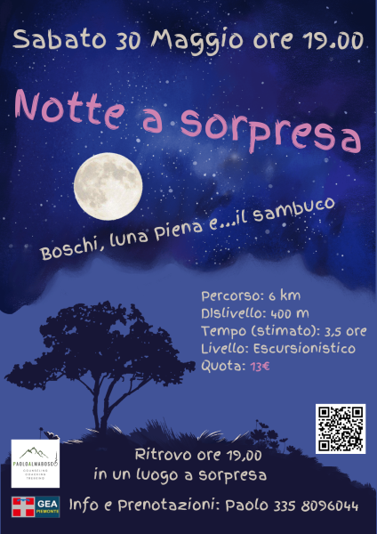 notte sorpresa